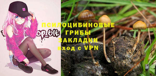 каннабис Арсеньев